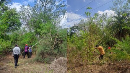 palghar Mahavitaran premonsoon works till May 31 delayed due to unseasonal rains