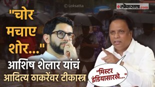BJP Leader Ashish Shelar Criticised on MLA Aaditya thackeray