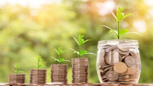 fund , past returns, choose a fund,