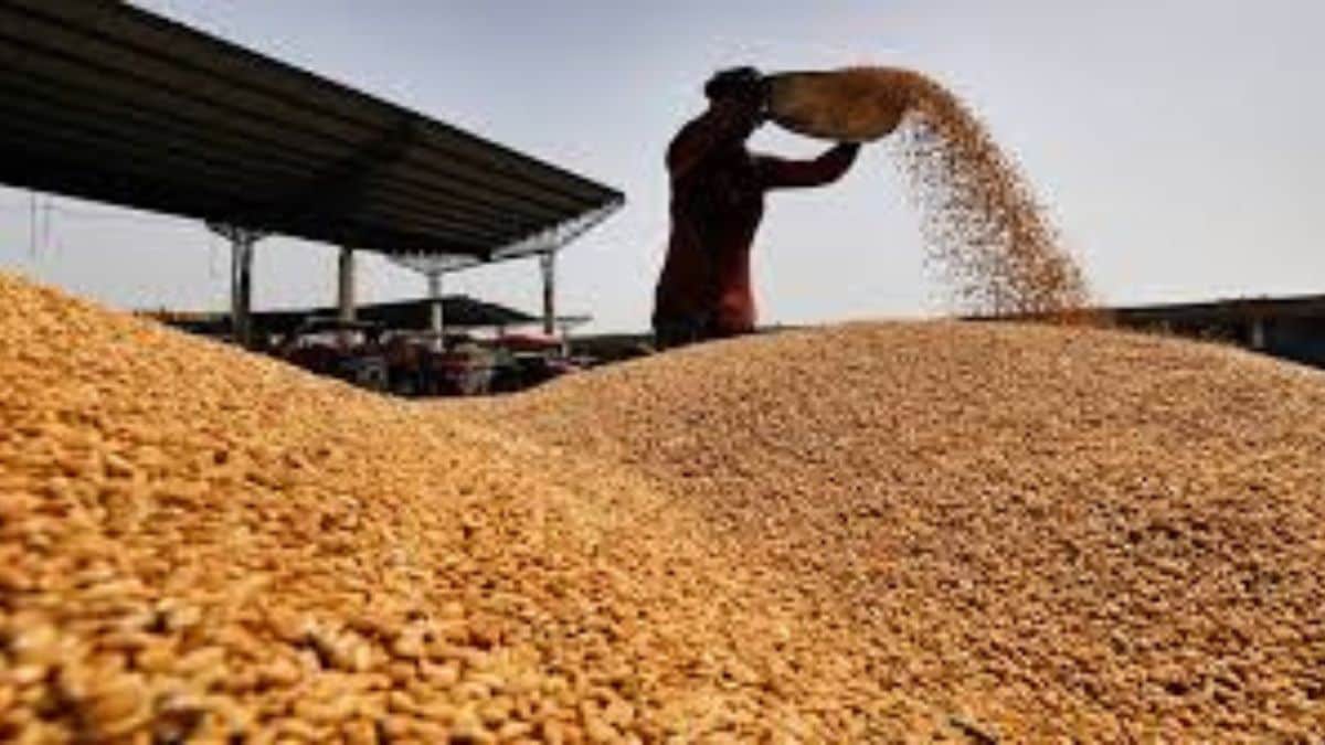 akole kisan sabha reaction on msp hike