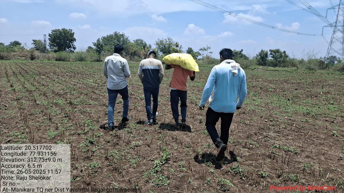 Farmers being used in the sale of banned HTBT seeds in Yavatmal