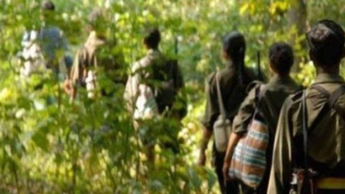 India Pakistan ceasefire news in marathi
