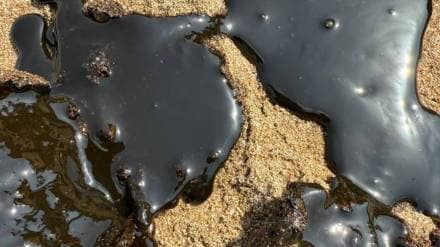 impact of oil spills on juhu beaches