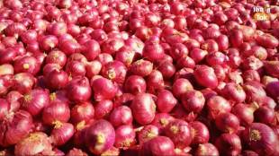 consumer relief after onion price fall news in marathi