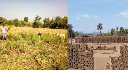 Palghar Possibility of unseasonal rain