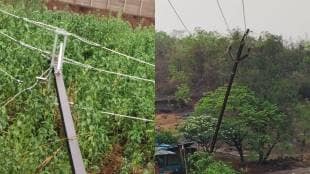 Many villages in the Saphale area including Vikramgad tehsil had power outages for about 40 hours