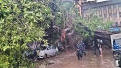 पुणे शहरात झाडे कोसळण्याची भीती, फांद्या छाटणीकडे महापालिकेचे दुर्लक्ष; २२९ तक्रारी प्रलंबित