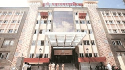 पुण्यात आता ‘वृक्ष रुग्णवाहिका’