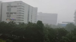 Pune Rain : पुण्याला पावसाने झोडपलं! पुणेकरांची उडाली तारांबळ, पाहा Viral Videos