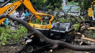 pune tree falls on rickshaw one death