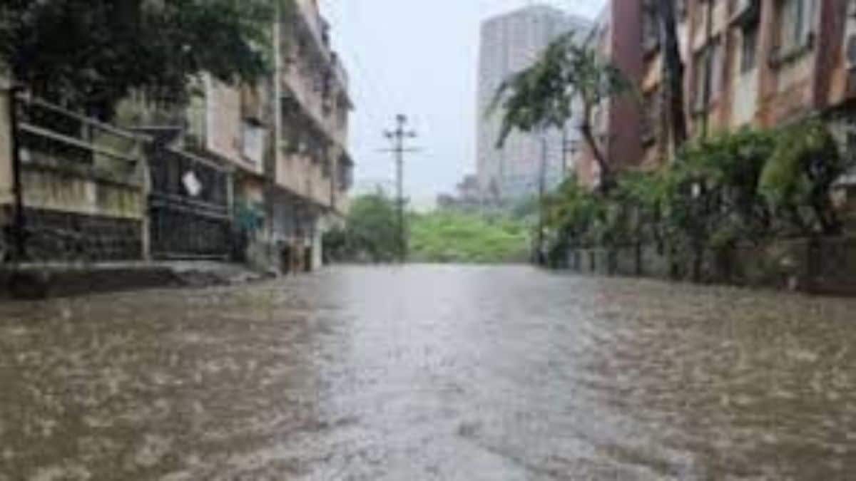 rain-water-loksatta