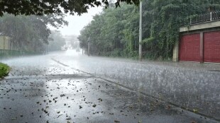 meteorological department forecast rain with gusty winds in Mumbai Thane and Palghar Thursday