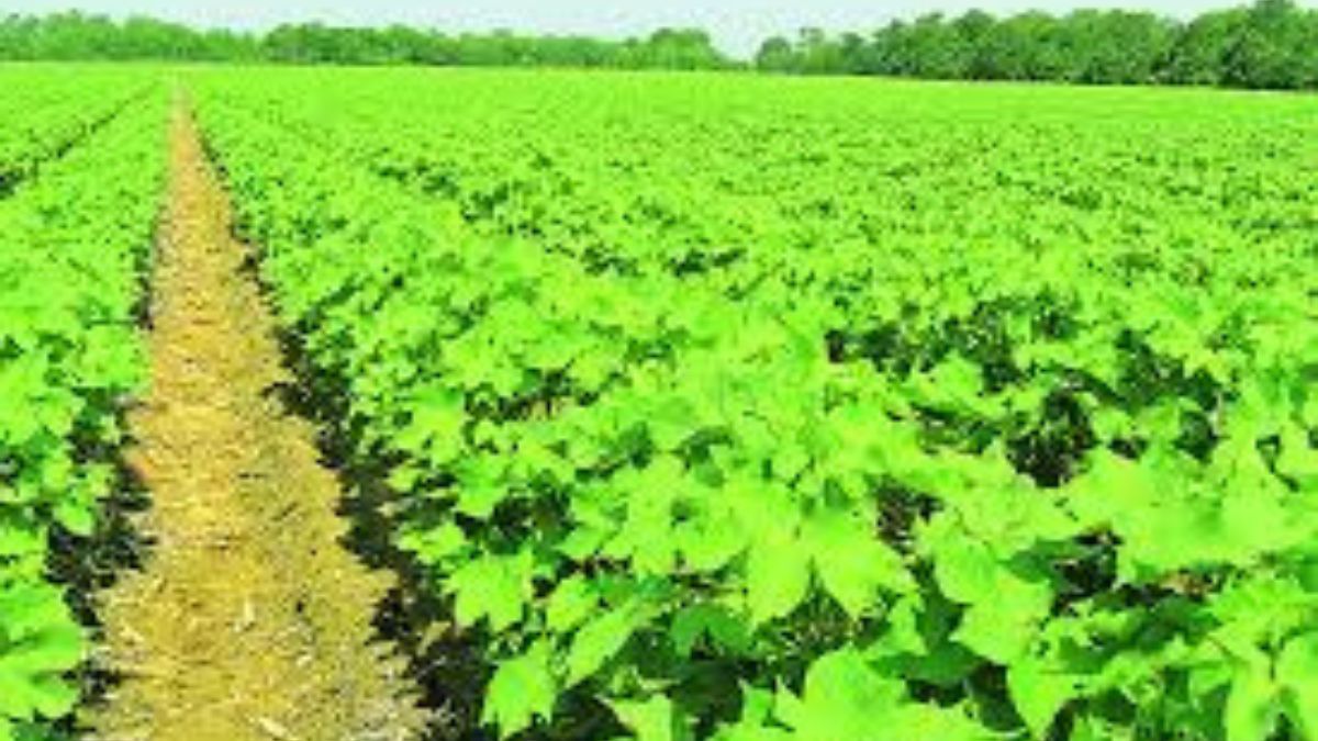 ratnagiri natural farming campaign