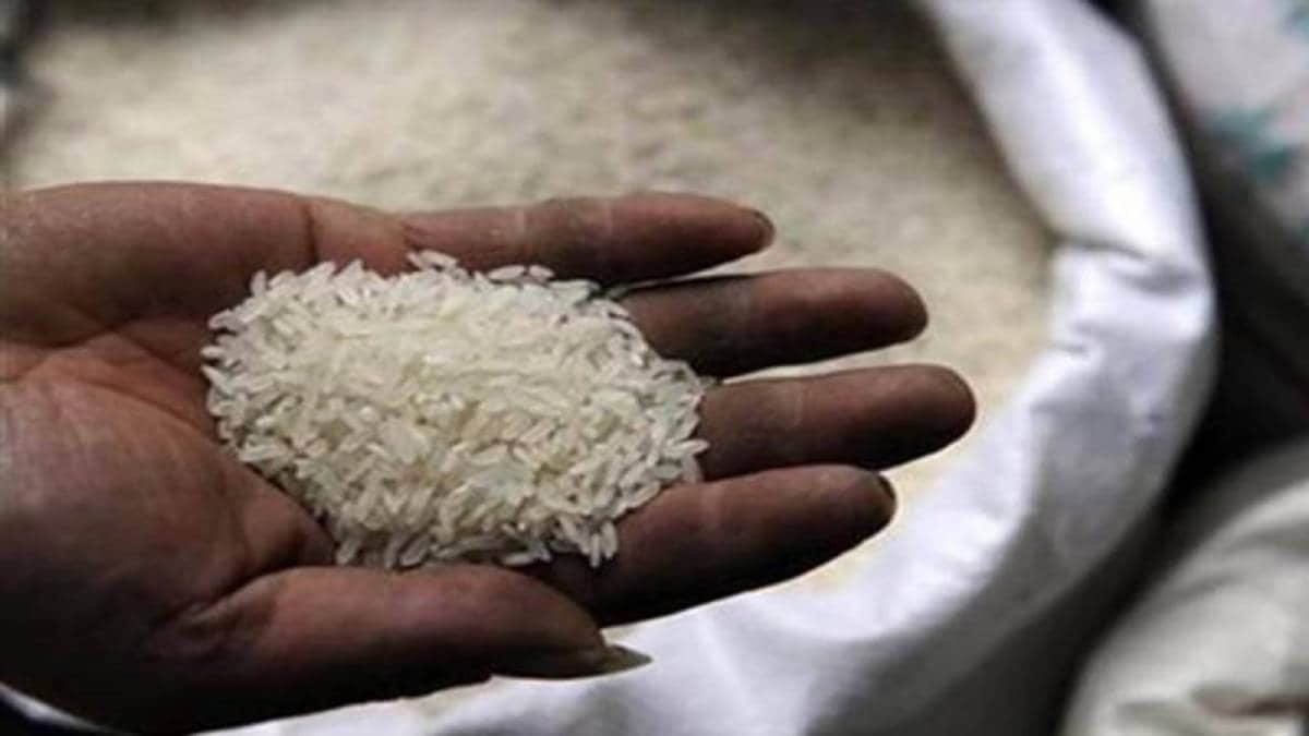 government rice scam news in marathi