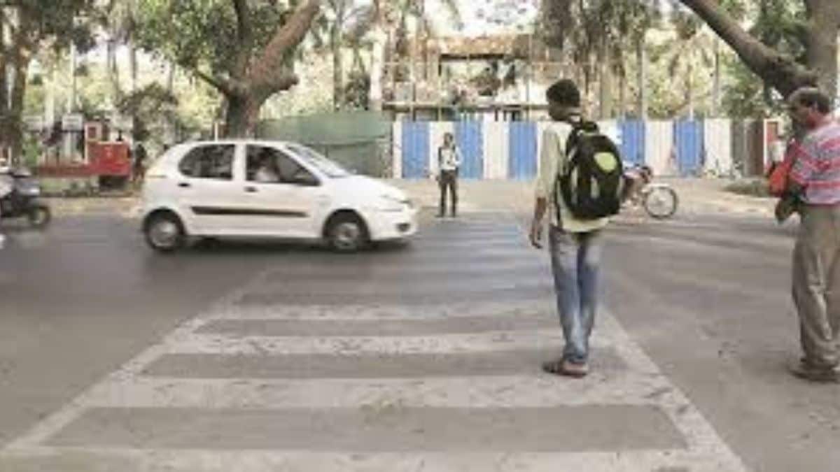 pimpri urban streetscapes project survey