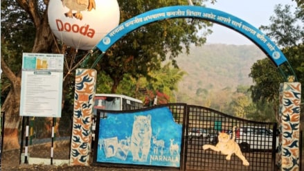 safari has been shut for the past three days due to strike nagpur