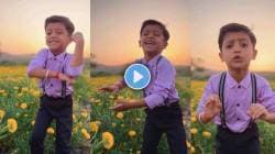 Video : “एक नंबर, तुझी कंबर…”, चिमुकल्या साईराज केंद्रेचा जबरदस्त डान्स! सर्वत्र होतंय कौतुक, लोकप्रिय मालिकेत केलंय काम