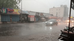 सांगलीत वादळी वाऱ्यासह पाऊस; वीज कोसळून आठ जनावरे ठार