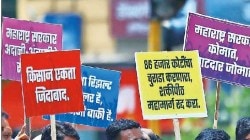 बागायती जमिनींवर महामार्गाचा ‘रोलर’ नकोच!