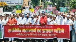 स्थानिक स्वराज्य संस्थांच्या निवडणुकीत फटका की फायदा?