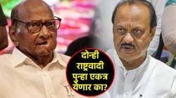 शरद पवारांनी मांडली दोन्ही राष्ट्रवादी एकत्र येण्यावर भूमिका; म्हणाले, “पक्षातल्या एका गटाला वाटतंय की…”