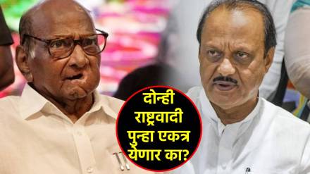 sharad pawar ajit pawar ncp