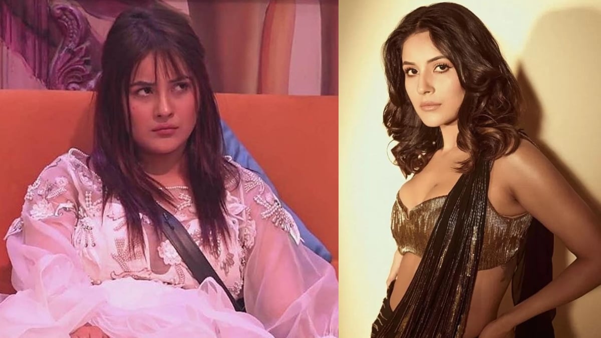 shehnaaz gill weight loss transformation