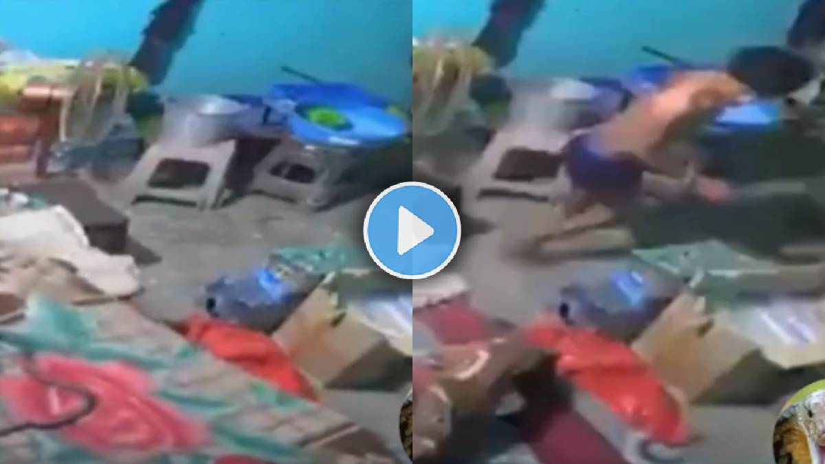 snake bites man during sleeping death video