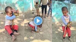 VIDEO : अरे बाप रे! चिमुकल्याच्या हाताला सापाने घातला वेटोळा अन्…; पुढे जे घडलं ते पाहून सर्व हादरले