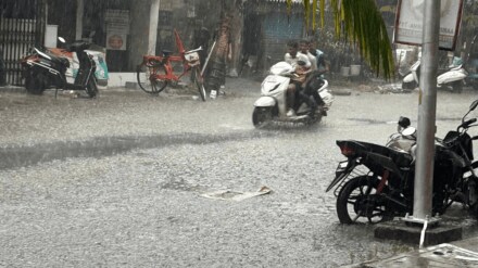 Rain with strong winds in Thane trees and branches fell in many places
