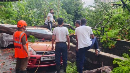 thane wall collapse on vehicles wagale estate