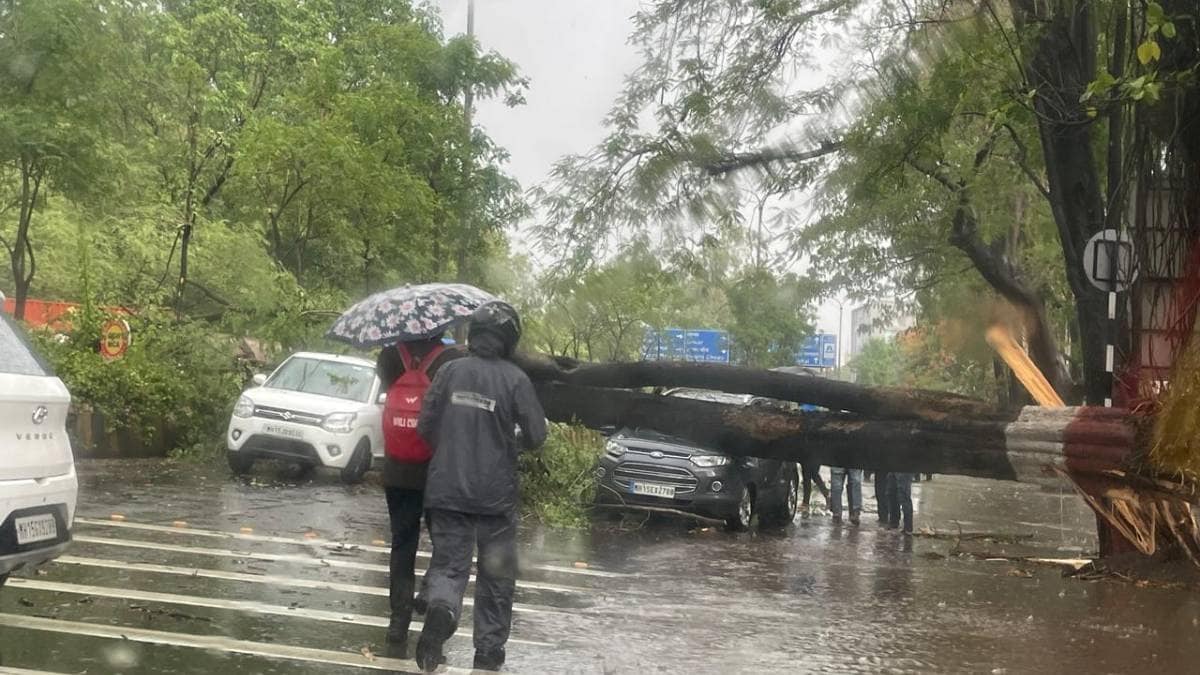 Heavy rainfall in Nashik city has caused trees to fall in various locations,