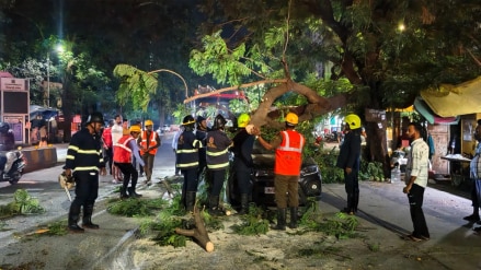 Parked car damaged after a tree branch fell on it thane