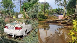 nashik Rain causes trees fall power supply disrupted in many areas vsd 99