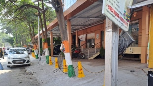 In Bolinj-Kharodi Virar, concrete has been laid over the roots of trees, blocking natural water flow paths as wel