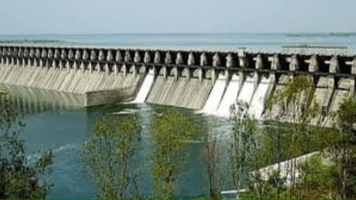 Water storage in ujani, ujani dam, Solapur latest news,