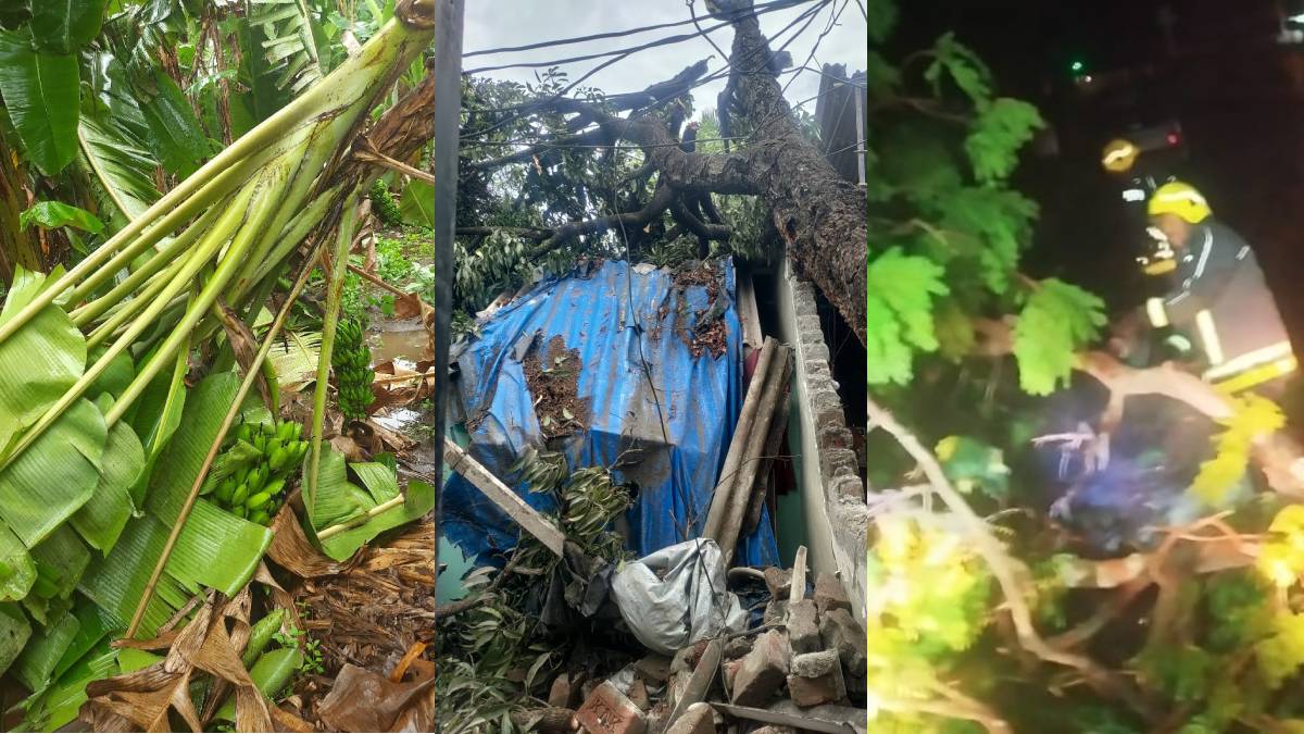 normal life disruption in Vasai Virar