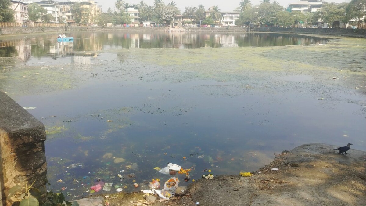 तलावांच्या संवर्धनावर पालिकेचा भर, नैसर्गिकपणा जपण्यासाठी प्रयत्न; पहिल्या टप्प्यात ९ तलावांचा समावेश