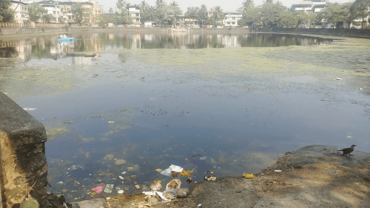 Vasai Virar municipality is focusing on preserving lakes and is trying to maintain their natural state; 9 lakes are included in the first phase