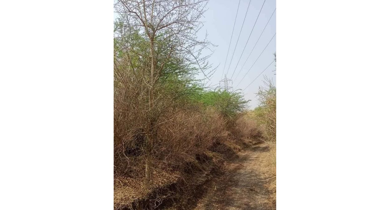 free encroachment removal and police protection