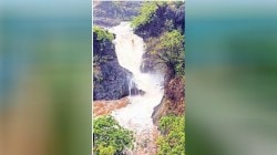आनंदसरी केरळमध्ये आठ दिवस आधीच दाखल