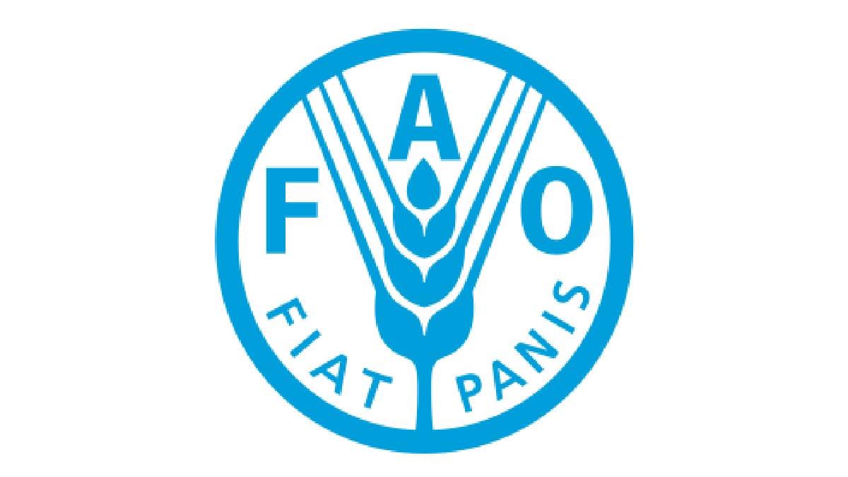 The Food and Agriculture Organization of the United Nations FAO has set up a study group in market committees across the country