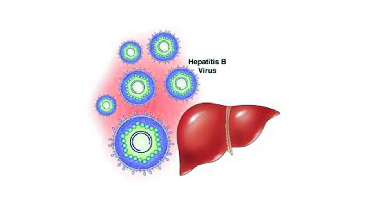 The ongoing outbreak of yellow fever in Rajur village of Akole taluka has not been controlled