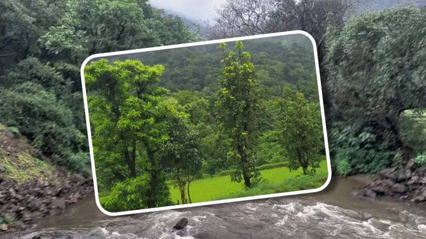 Places to Visit in Monsoon in Mumbai Pune Maharashtra