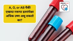 A, O, or AB पैकी एखादा रक्तगट इतरांपेक्षा अधिक उष्ण असू शकतो का? तज्ज्ञांनी केला खुलासा