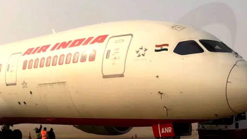 Air India Flight (File Photo)
