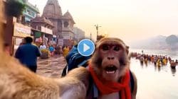 Video : चक्क माकड बनवतो व्हिडीओ! प्रत्येक व्हिडीओवर मिळतात लाखो Views अन् Likes; पाहा, कोण आहे हा ‘बबलू माकड’?