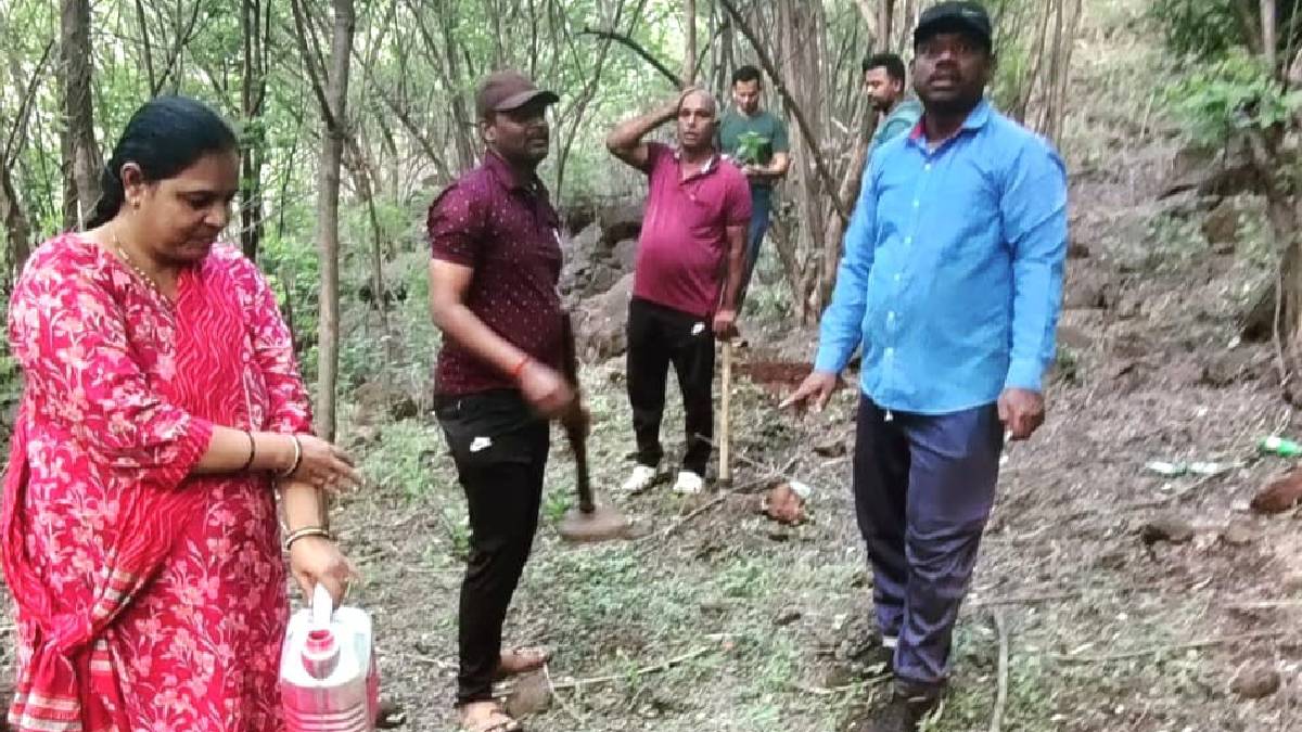 near karad at foot of Agashiv Mountain tree Plantation