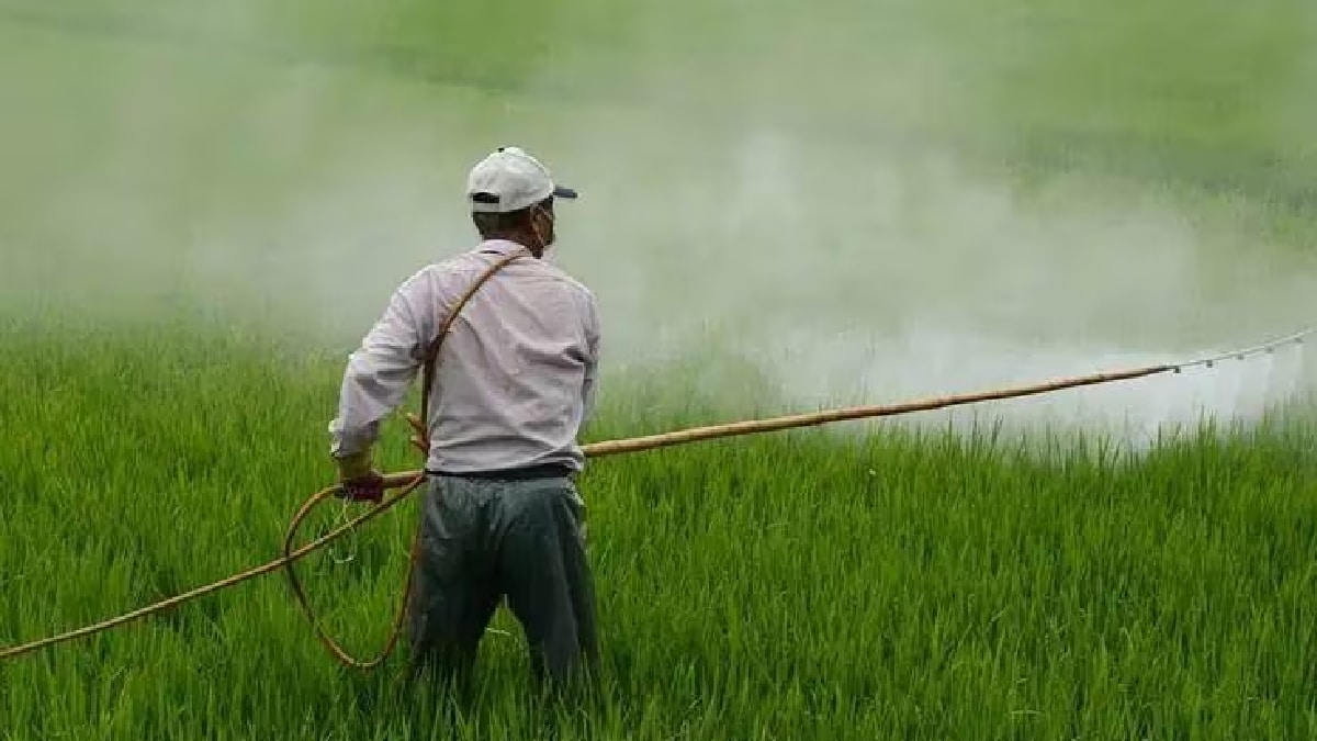 Portfolio Sharda Cropchem Limited Company Agrichemicals Marketplace Services