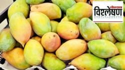 आंब्याच्या विक्रीवरून दोन राज्यांमध्ये वाद; नक्की झालंय काय?